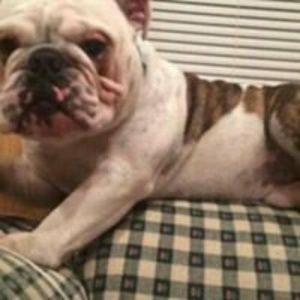 Meet your Posher, Rosa